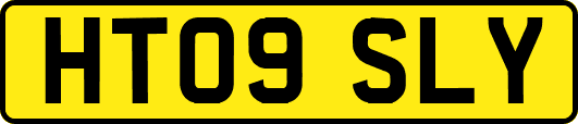 HT09SLY