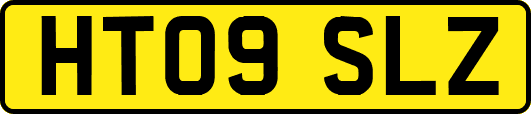 HT09SLZ