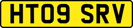HT09SRV