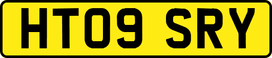 HT09SRY