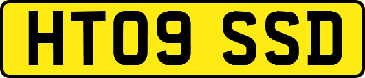 HT09SSD