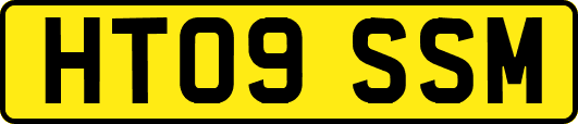 HT09SSM