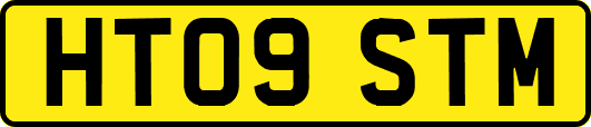HT09STM