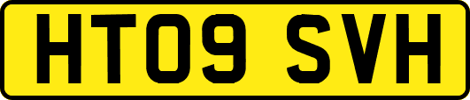 HT09SVH