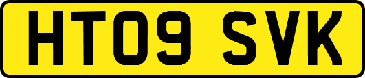 HT09SVK