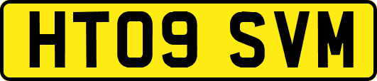 HT09SVM