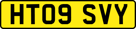 HT09SVY