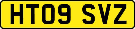 HT09SVZ