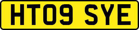 HT09SYE