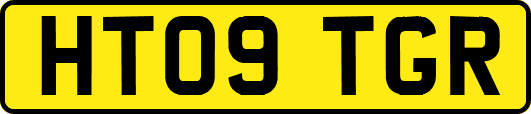 HT09TGR