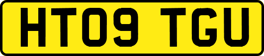 HT09TGU