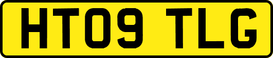 HT09TLG