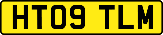 HT09TLM