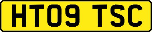 HT09TSC