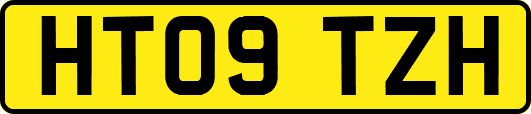 HT09TZH