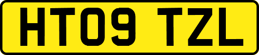 HT09TZL