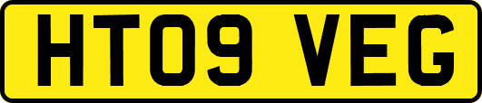 HT09VEG