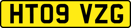 HT09VZG