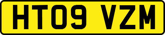 HT09VZM
