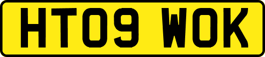 HT09WOK