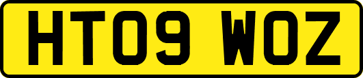 HT09WOZ