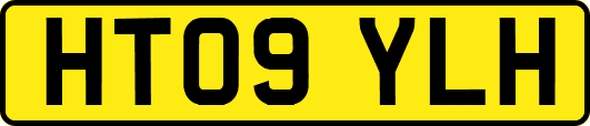 HT09YLH