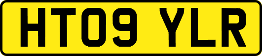 HT09YLR
