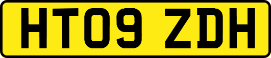 HT09ZDH
