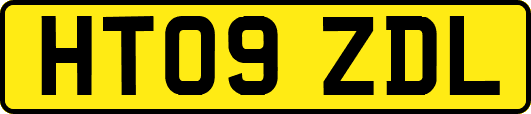 HT09ZDL