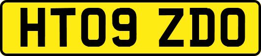 HT09ZDO
