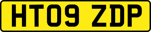 HT09ZDP