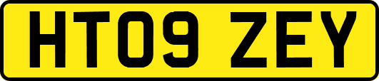 HT09ZEY
