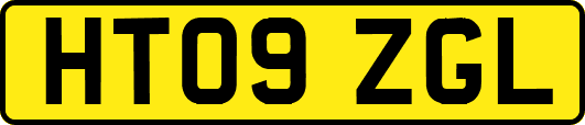 HT09ZGL
