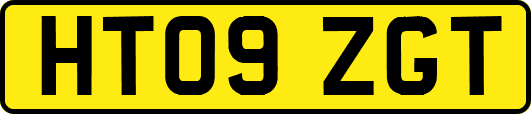 HT09ZGT