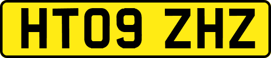 HT09ZHZ
