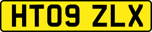 HT09ZLX