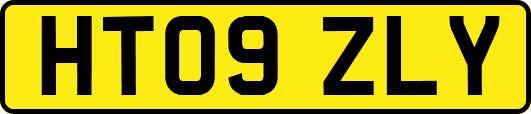 HT09ZLY
