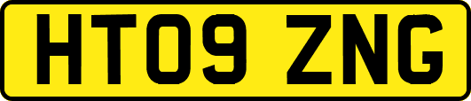 HT09ZNG