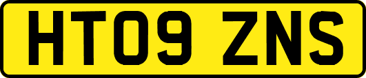 HT09ZNS