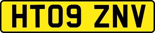 HT09ZNV