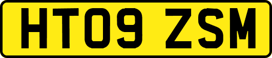 HT09ZSM