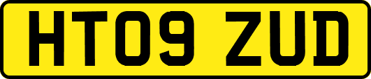 HT09ZUD
