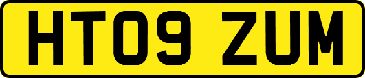 HT09ZUM