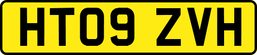 HT09ZVH