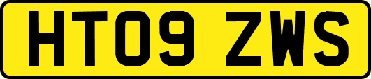 HT09ZWS