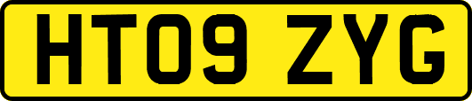 HT09ZYG