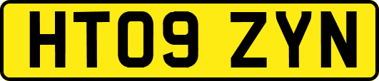 HT09ZYN