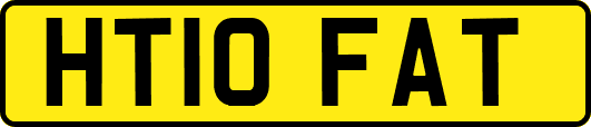 HT10FAT