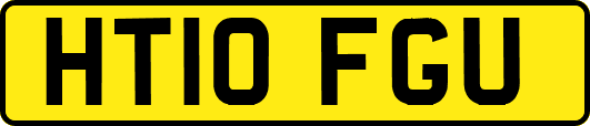 HT10FGU