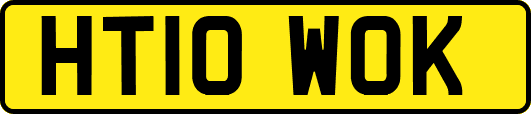 HT10WOK